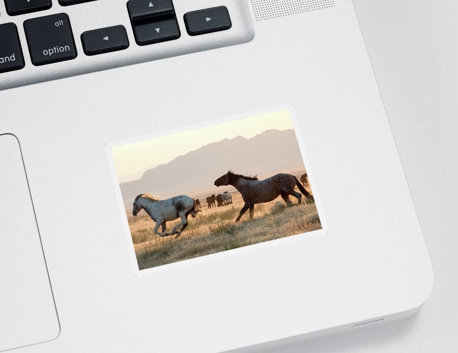 Chase Sticker featuring the photograph Wild Horse Chase by Wesley Aston