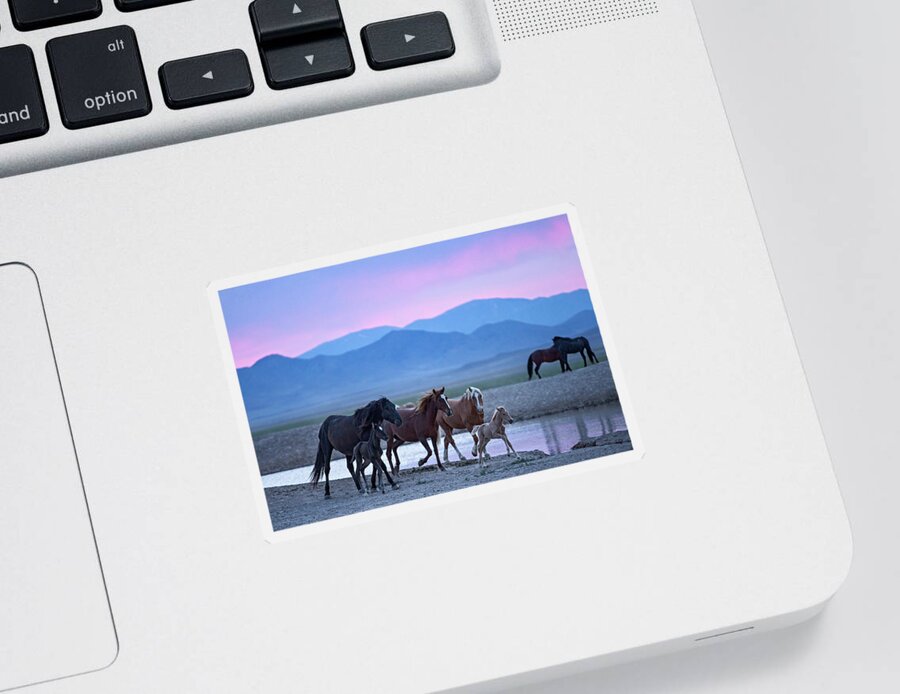 Wild Horse Sticker featuring the photograph Wild Horse Sunrise by Wesley Aston