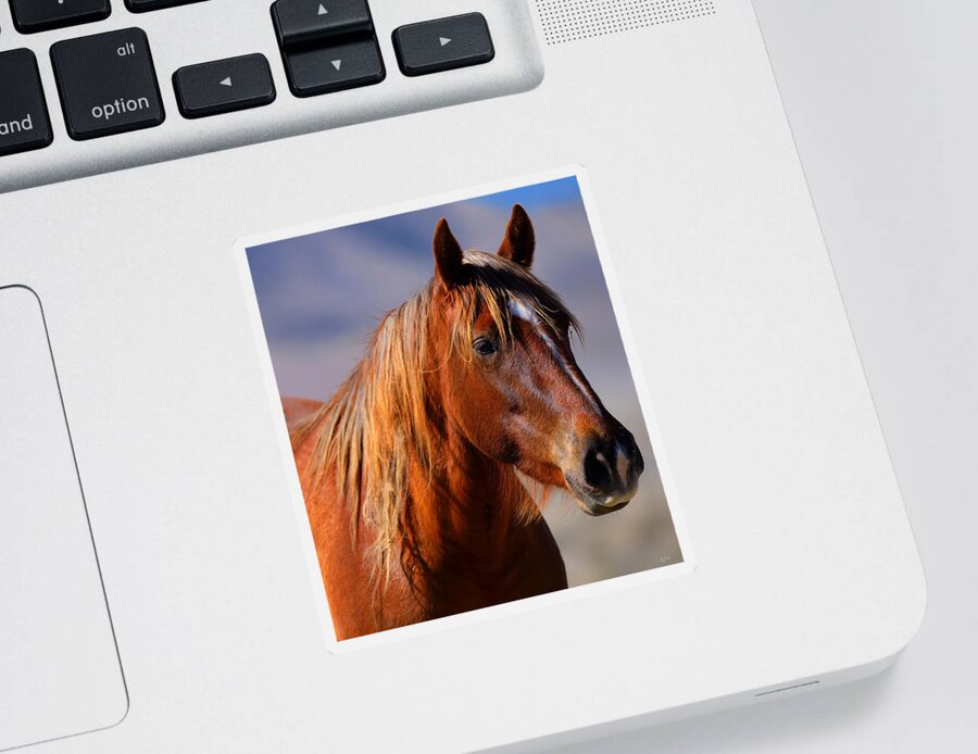 Wild Horses Sticker featuring the photograph Wild Mare Portrait by Greg Norrell