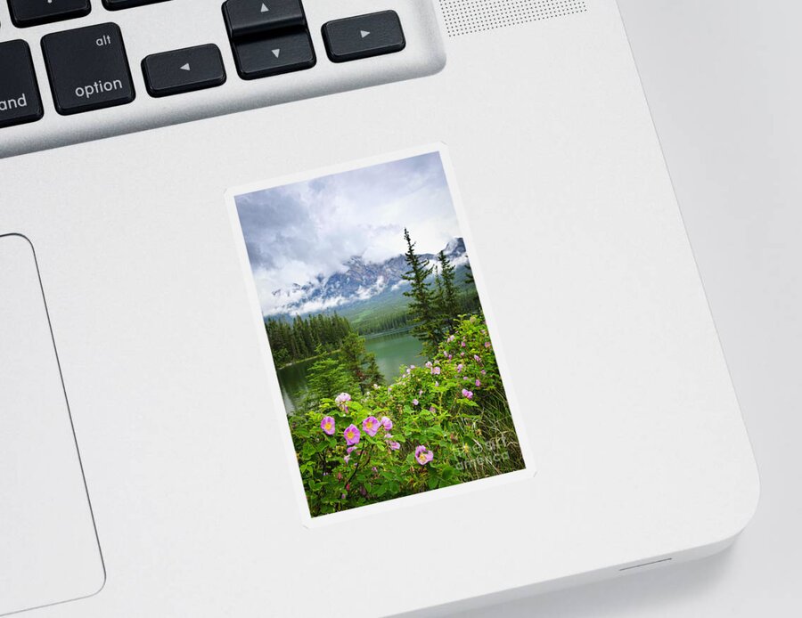 Wild Rose Sticker featuring the photograph Wild roses and mountain lake in Jasper National Park by Elena Elisseeva