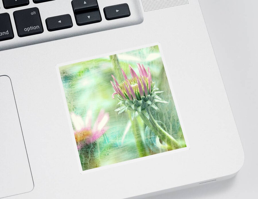 Flowers Sticker featuring the photograph Wildflower Dreamscape by Bob Orsillo