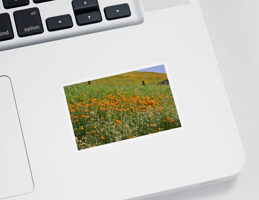 Sierra Nevada Sticker featuring the photograph Wildflower Foothill by Debby Pueschel