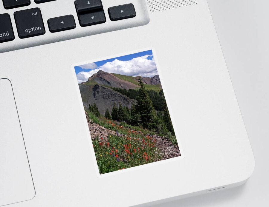 Wildflowers Sticker featuring the photograph Wildflower View by Jennifer Robin