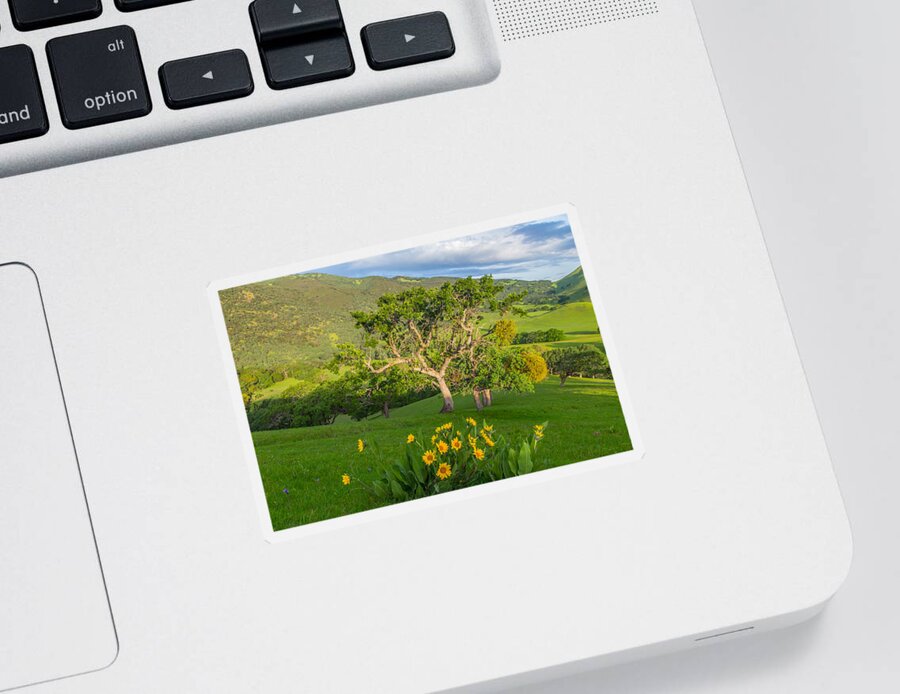 Landscape Sticker featuring the photograph Wildflowers Above Round Valley by Marc Crumpler