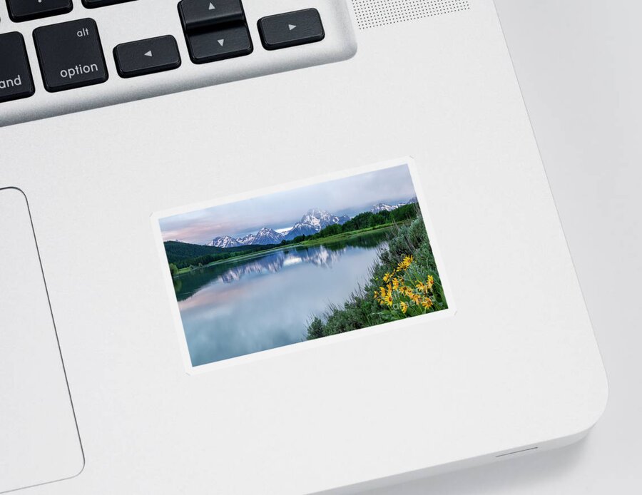 Mt Moran Sticker featuring the photograph Wildflowers and Mt Moran by Ronda Kimbrow