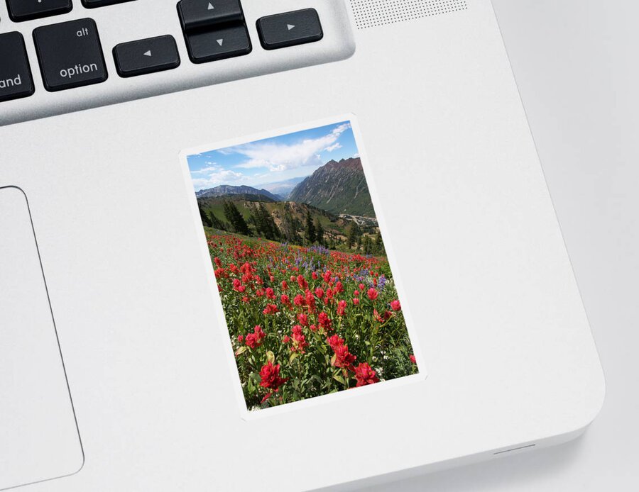 Landscape Sticker featuring the photograph Wildflowers and View Down Canyon by Brett Pelletier