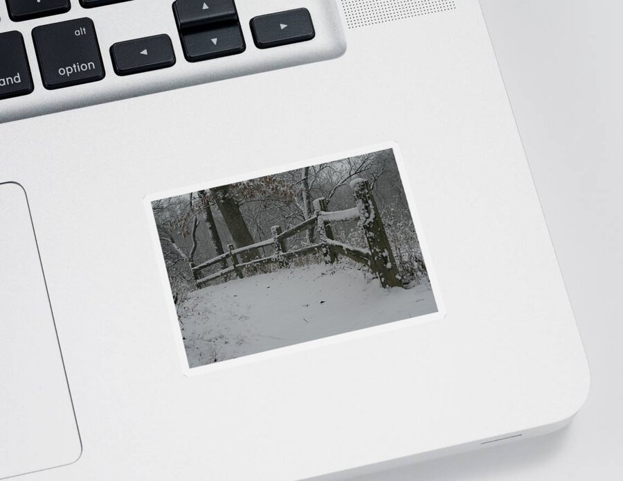 Winter Fence Trail Sticker featuring the photograph Winter Fence Trail H by Dylan Punke