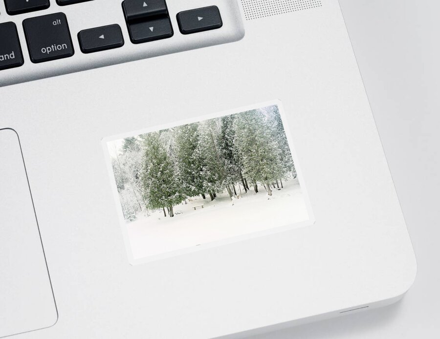 Winter Ice Storm Print Sticker featuring the photograph Winter Ice Storm Print by Gwen Gibson