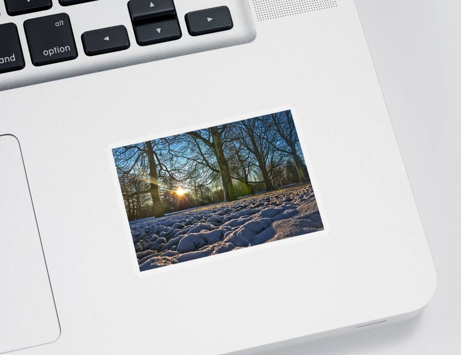 Sun Sticker featuring the photograph Winter In The Park by Frans Blok