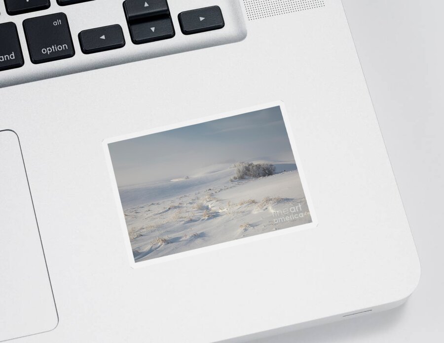 Idaho Sticker featuring the photograph Winter Light on the Palouse by Idaho Scenic Images Linda Lantzy