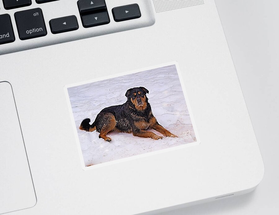 Dog Sticker featuring the photograph Winter Play by Vivian Martin