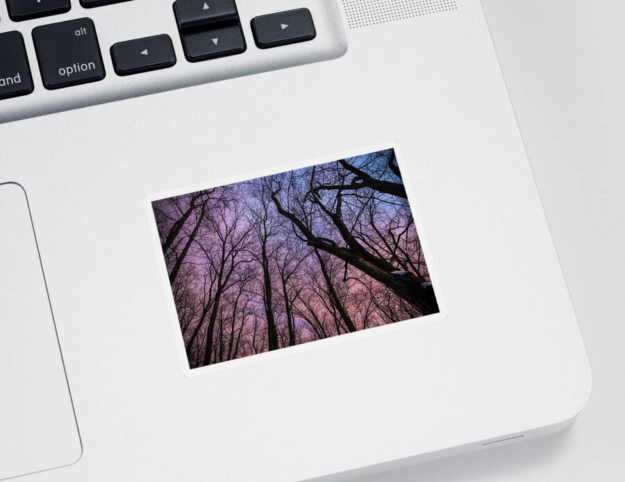 Winter Sticker featuring the photograph Winter Sky by Kristopher Schoenleber