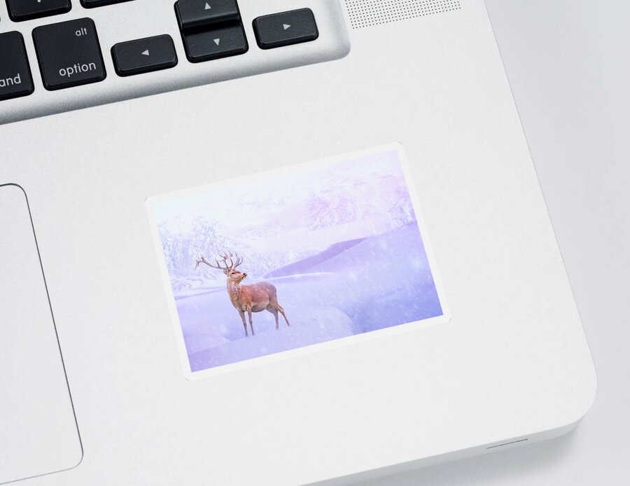 Winter Sticker featuring the photograph Winter Story by Iryna Goodall