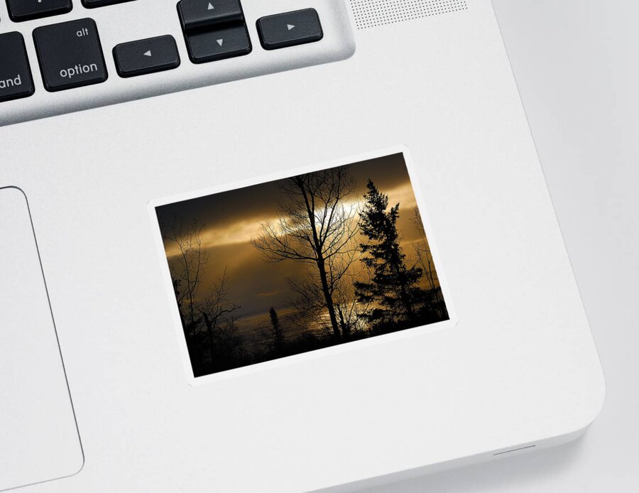 Nature Sticker featuring the photograph Winter Sunrise 1 by Sebastian Musial