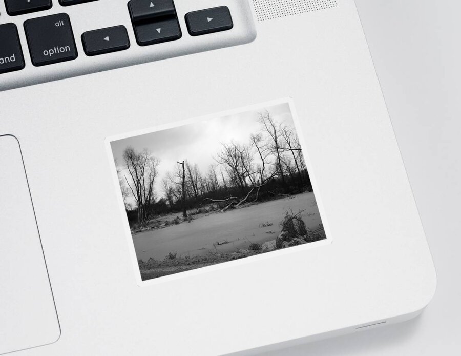 Swamp Sticker featuring the photograph Winter Swamp by Michelle Miron-Rebbe