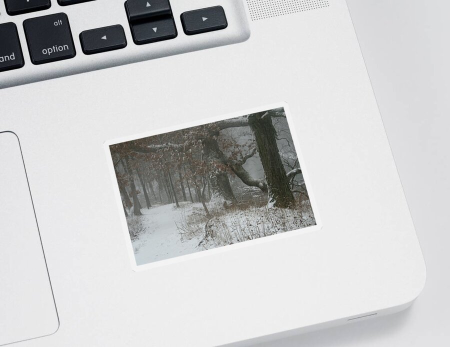 Snow Sticker featuring the photograph Winter Walk by Dylan Punke