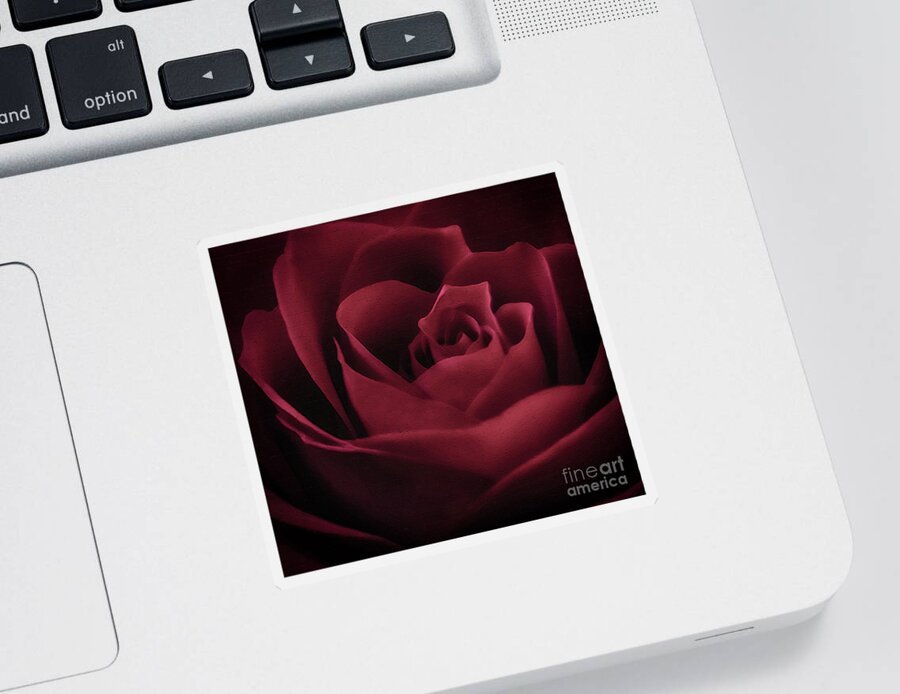 With This Rose Sticker featuring the photograph With This Rose by Charlie Cliques