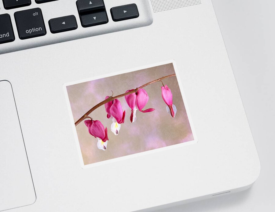 Flower Sticker featuring the photograph Bleeding Heart by Patti Deters