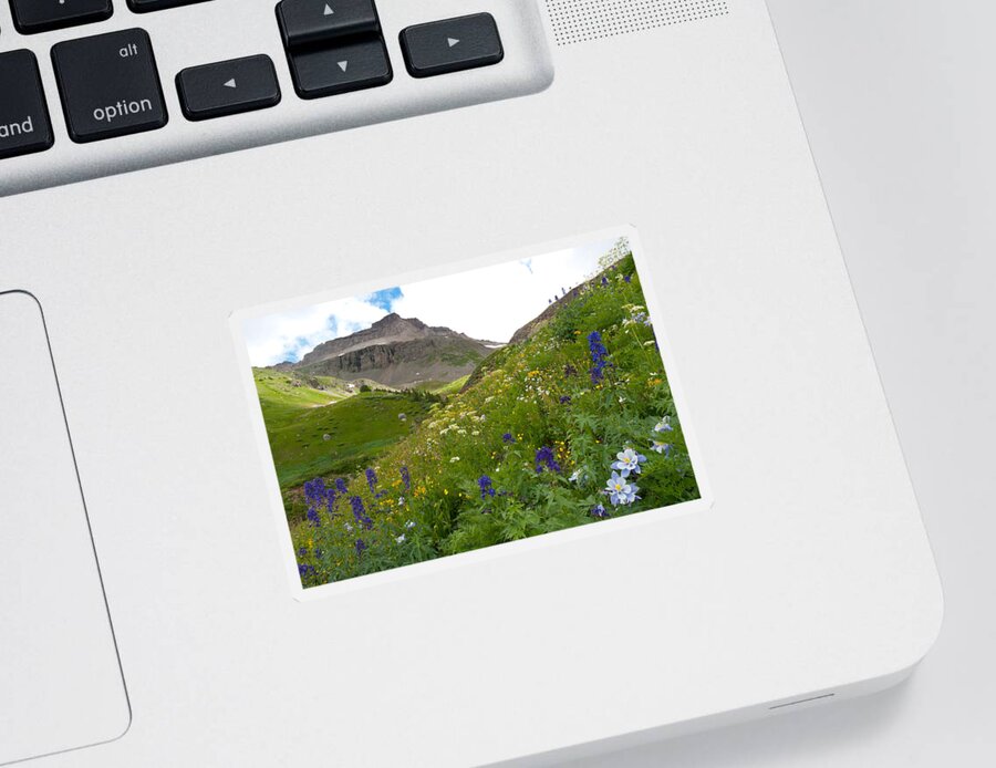 San Juans Sticker featuring the photograph Yankee Boy Basin Landscape by Cascade Colors