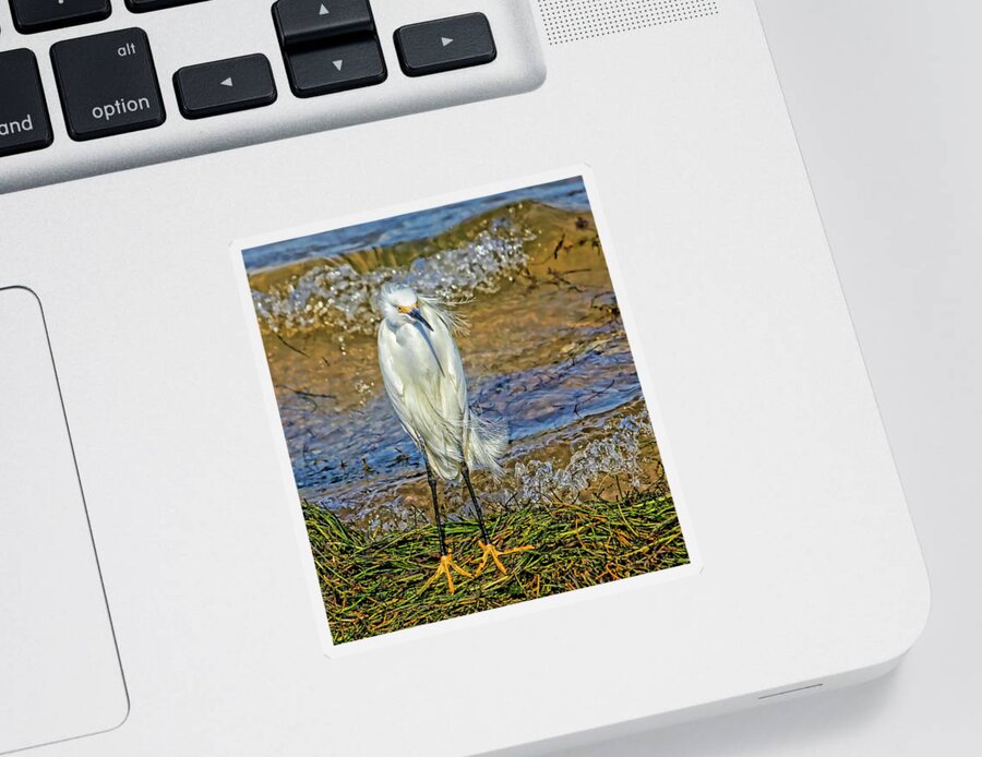 Snowy Egret Sticker featuring the photograph Yellow Boots by HH Photography of Florida