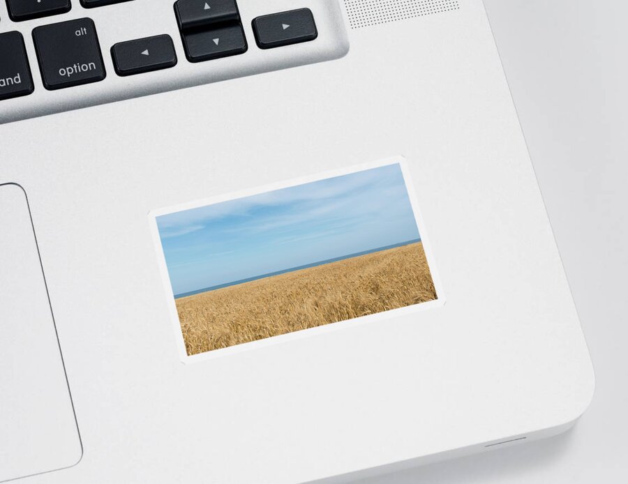 Background Sticker featuring the photograph Yellow field, sea and blue sky by Michalakis Ppalis