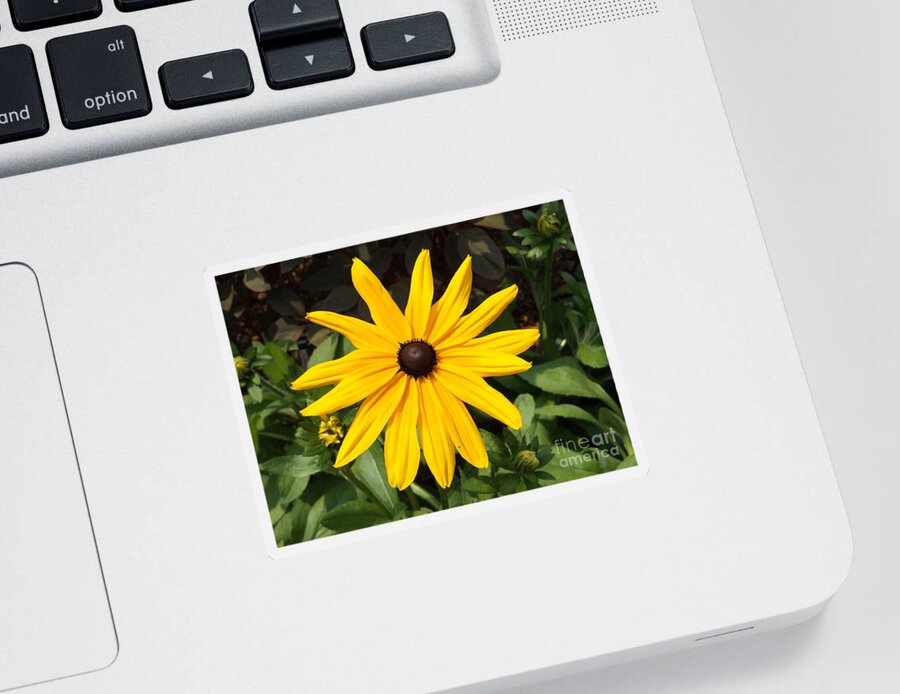 Yellow Sticker featuring the photograph Yellow Flower by Erick Schmidt