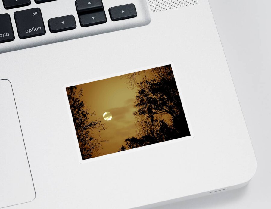 Moon Sticker featuring the photograph Yesteryears Moon by DigiArt Diaries by Vicky B Fuller