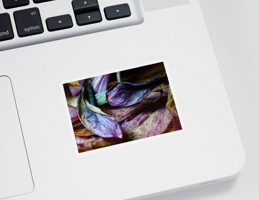 Flowers & Plants Sticker featuring the photograph Your True Colours by Sandra Parlow