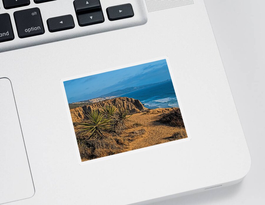 California Sticker featuring the photograph Yucca at Torrey Pines by Alana Thrower