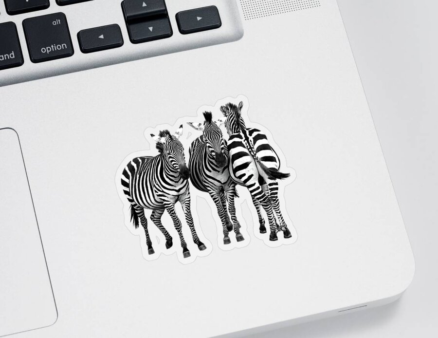 Africa Sticker featuring the photograph Zebra - Three's A Crowd by Gill Billington