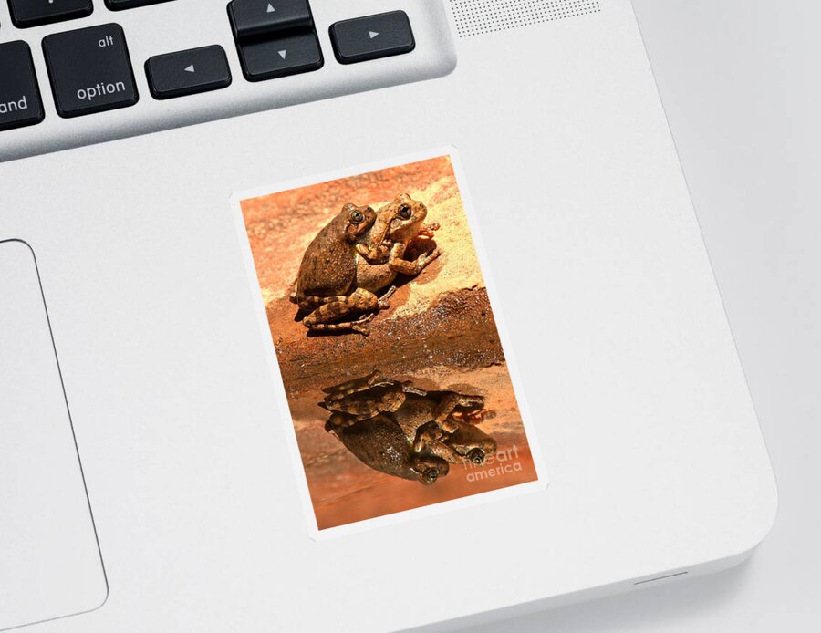 Tree Frogs Sticker featuring the photograph Zion Canyon Tree Frogs In Love by Adam Jewell