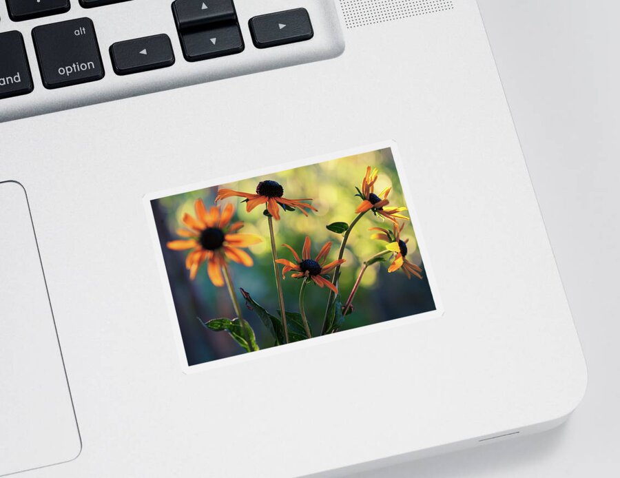 Echinacea Sticker featuring the photograph Echinacea Garden #1 by Bonnie Bruno