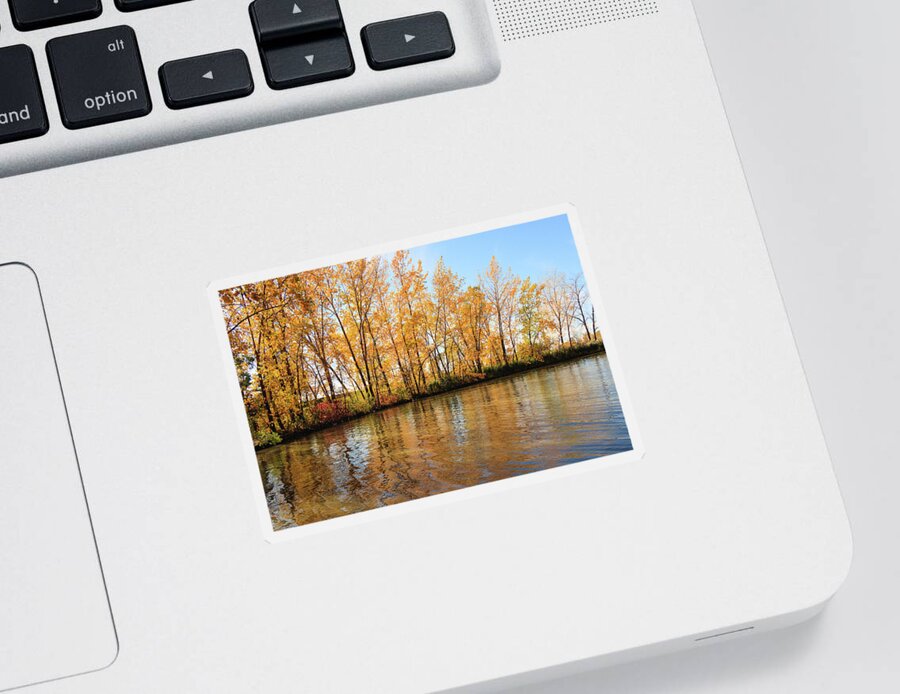 Autumn Sticker featuring the photograph Golden afternoon by the river #1 by Cristina Stefan
