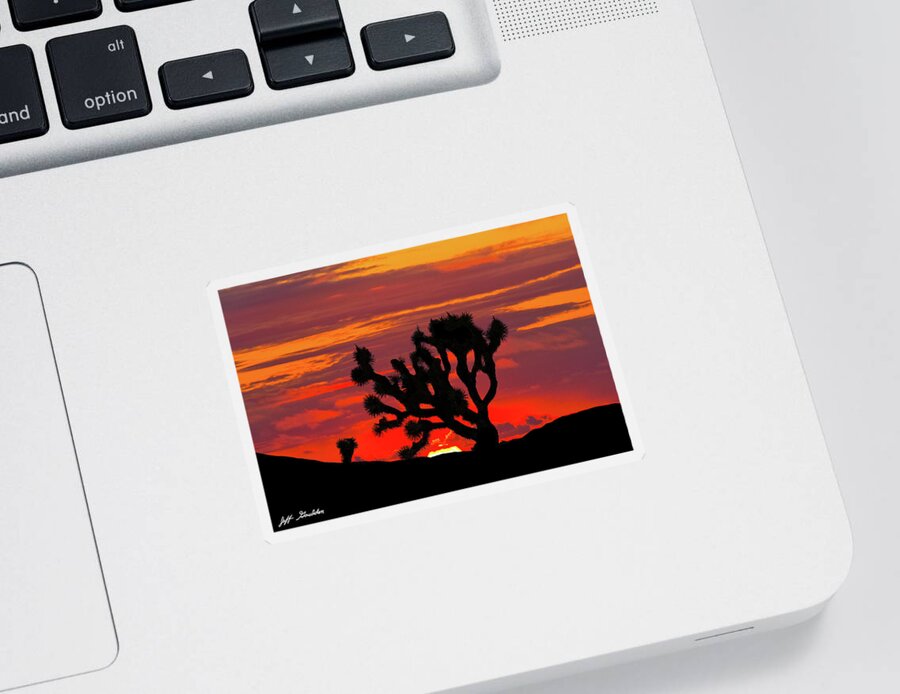 Arid Climate Sticker featuring the photograph Joshua Tree at Sunset by Jeff Goulden