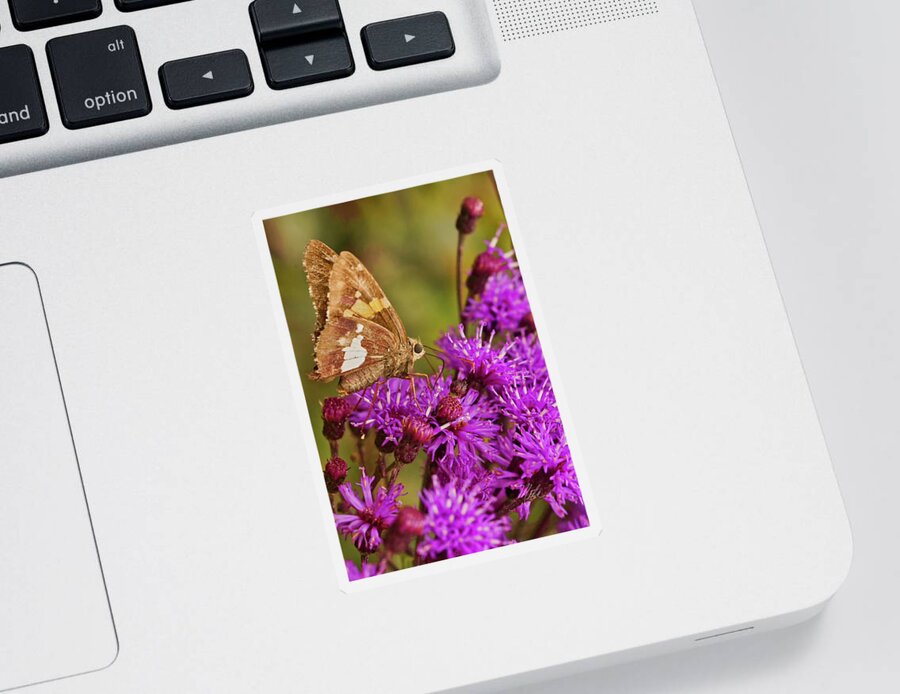 Macro Photography Sticker featuring the photograph Moth On Purple Flowers #1 by Meta Gatschenberger