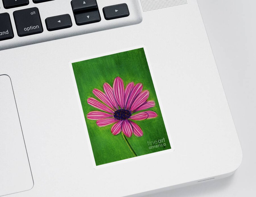 Art Sticker featuring the photograph Purple African Daisy #1 by Dorothy Lee