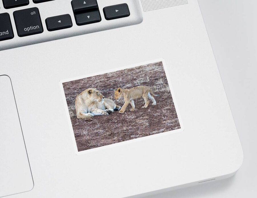 Lion Sticker featuring the photograph The Greeting #1 by Mark Hunter