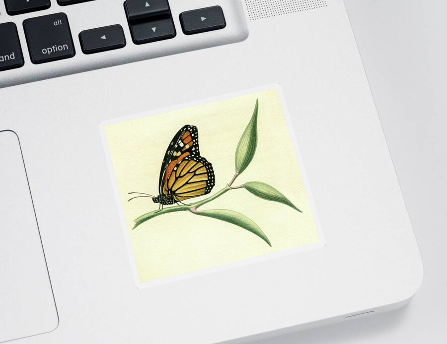 Entomology Sticker featuring the mixed media Butterfly #5 by Unknown