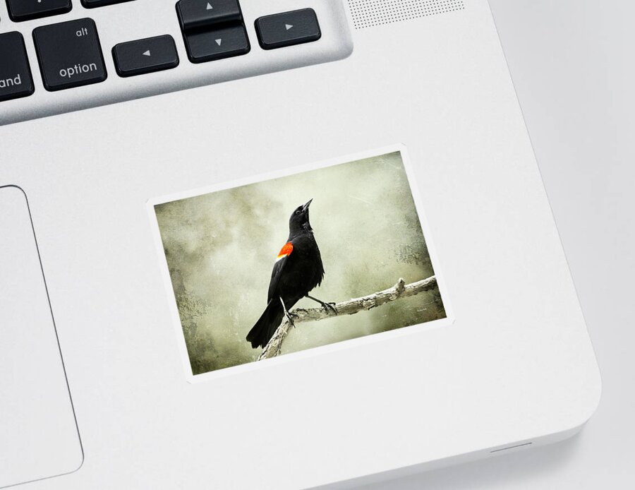 Bird Sticker featuring the photograph Vintage Blackbird by Christina Rollo