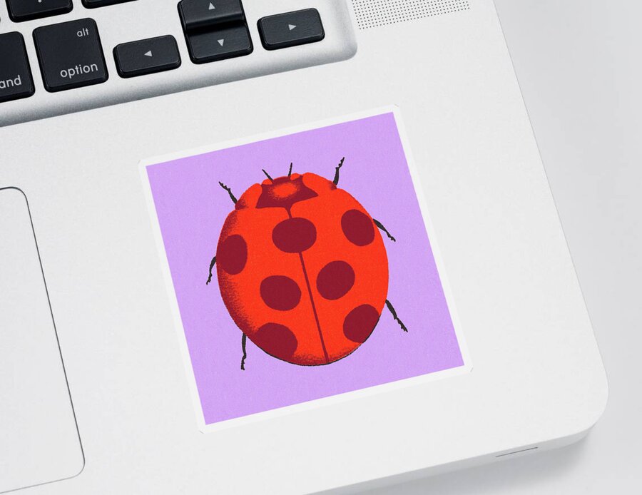 Animal Sticker featuring the drawing Ladybug #4 by CSA Images