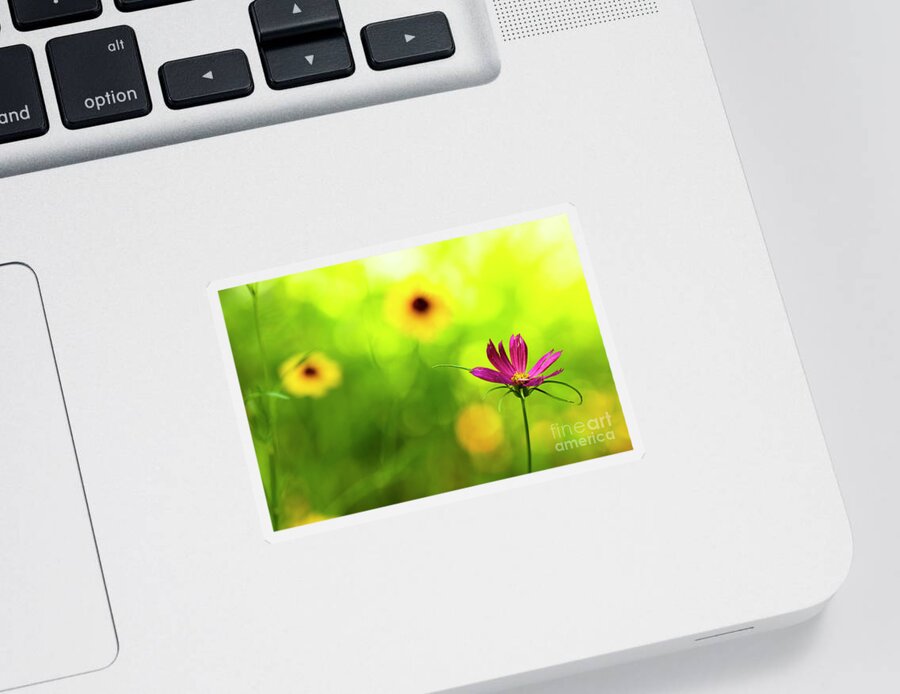 Background Sticker featuring the photograph Wildflowers #5 by Raul Rodriguez