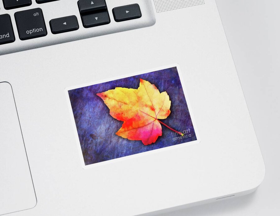 Fall Sticker featuring the photograph A Colorful Fall Memory by Anita Pollak