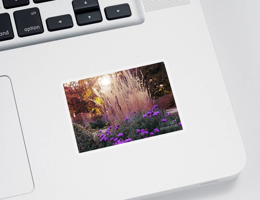 A Flower Bed In The Autumn Park By Marina Usmanskaya Sticker featuring the photograph A flower bed in the autumn park by Marina Usmanskaya