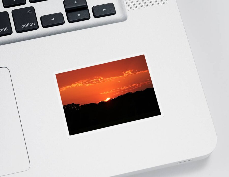 Nature Sticker featuring the photograph A Golden Sunset by Sheila Brown