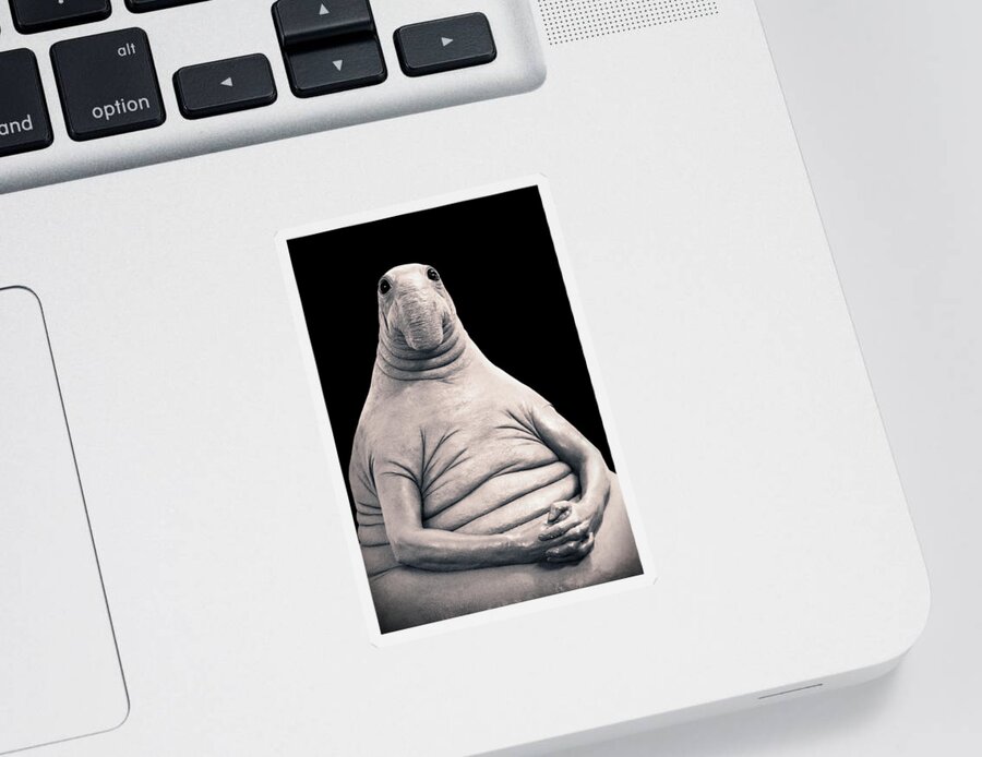 Homunculus Loxodontus Sticker featuring the photograph A Portrait Of A Dutch by Iryna Goodall