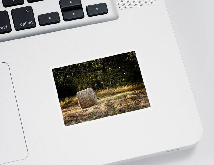 Meadow Sticker featuring the photograph A roll of hay next to a wooded area by Darryl Brooks