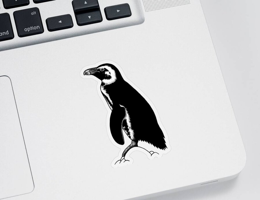 Penguin Sticker featuring the drawing African penguin - ink illustration by Loren Dowding