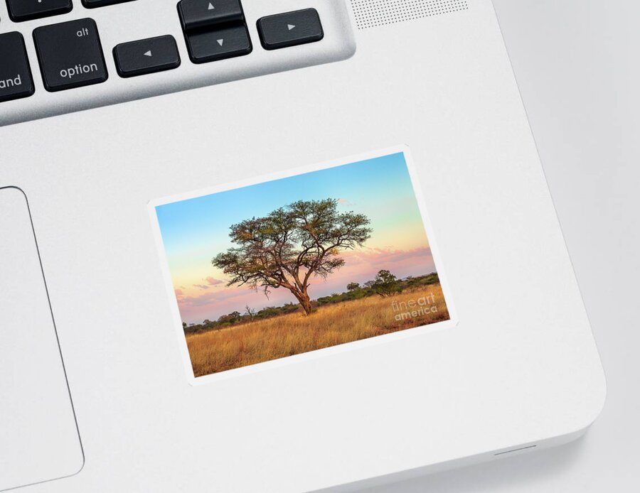 Serengeti Sticker featuring the photograph African Savannah wallpaper by Benny Marty