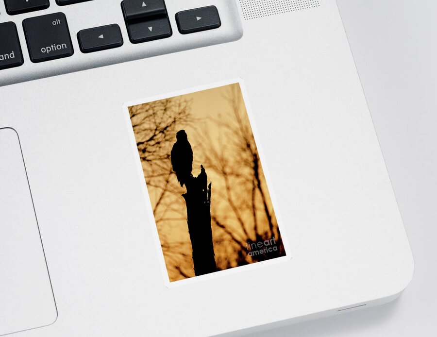 2018 Sticker featuring the photograph An Eagle Silhouette by Wild Fotos