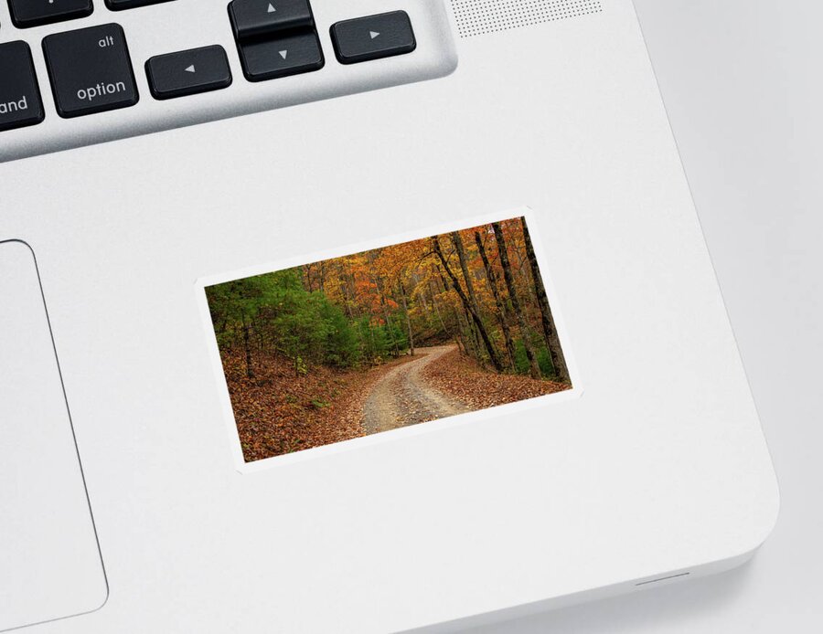 Woods Sticker featuring the photograph Around the Next Bend by Marcy Wielfaert